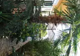 Villa Nefeli foto 5
