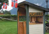 Fjorden, Gletsjers en Dalen foto 3