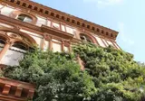 Villa delle Rose foto 1