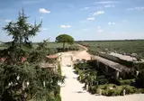 Agriturismo Tenuta Mazzetta foto 4