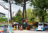 Camping Marina Di Venezia foto 24