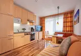Appartementen Happy Flachau foto 5