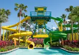 The Grove Resort & Water Park Orlando foto 20