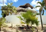 BnB Bonaire foto 23