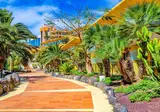 SBH Hotel Club Paraiso Playa foto 16