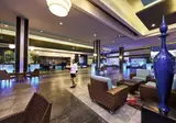 Riu Dunamar foto 18
