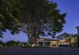 Umana Bali, LXR Hotels & Resorts foto 9