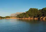 Ollastu foto 2