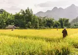 Authentiek Noord-Vietnam foto 2