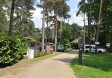 Kempen foto 8