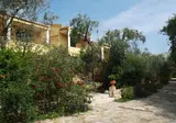 Poggio degli Ulivi foto 10