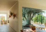 Herdade da Rocha - Boutique Lodge foto 18