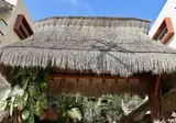 Macondo Raíz Holbox foto 12