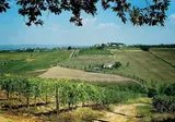 Agriturismo Poderi Arcangelo foto 3