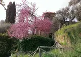 Agriturismo Il Vecchio Casale foto 2