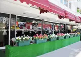 Atalla foto 23