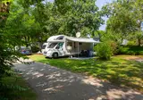 Flower Camping L Ile D Offard foto 12