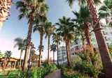 Royal Atlantis Beach foto 27