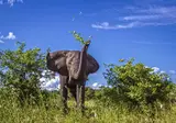 Discover Magnificent Eastern South Africa foto 5