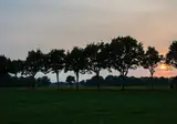 Bed and Breakfast Erve de Bosch foto 17