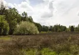 Fietsvakantie De Groote Peel foto 6