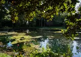 Cantos Green Garden foto 2