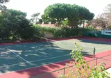 Pinhal da Marina foto 23