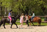 Camping De Meibeek foto 6