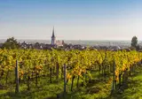Ontdek de Duitse Wijnroute vanuit Bad Dürkheim foto 1