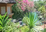 Poppies Bali foto 6