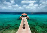 Hotel Divi Flamingo Beach Resort & Casino foto 6