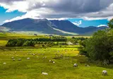 Ontdek Ierland in 11 dagen foto 17