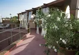 Riad Altair foto 19