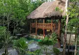 Jolie Jungle Eco Hotel foto 24