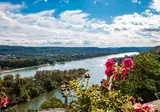 Over de Rijn naar Mannheim 'Heidelberg aan de Neckar' foto 3