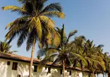 Bungalow Beach Hotel foto 18