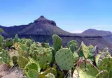 A Western Adventure in Texas foto 1