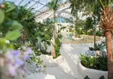 Center Parcs Le Bois Aux Daims foto 11