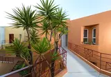 Elotia Hotel foto 5