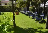 Fortunella foto 27