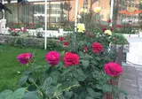 Olymp foto 4