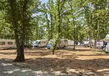 Camping Finida foto 7
