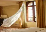Grande Albergo delle Rose foto 29