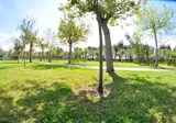 Camping Paestum foto 7