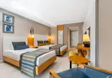 Sidera Kirman Premium foto 20