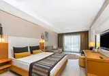 Sidera Kirman Premium foto 16