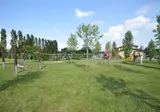 Piantelle foto 9