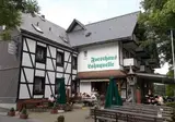 Hotel Restaurant Forsthaus Lahnquelle foto 1