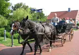 Ribe Byferie Resort foto 18