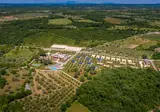 Papafigo foto 2